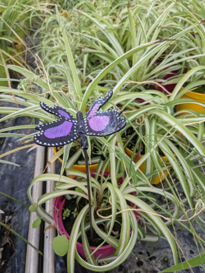 Petit papillon – Image 2